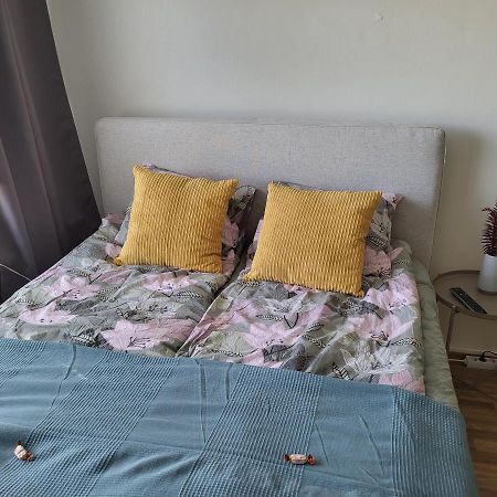 Central Studio - Easy Check-In, Free Parking & Wifi Rovaniemi Zewnętrze zdjęcie